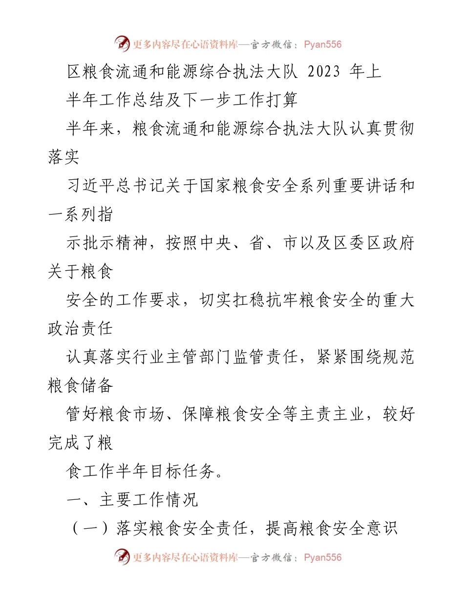 [工作总结] 半年工作会议 - 区粮食流通和能源综合执法大队2023年上半年工作总结及下一步工作计划.docx_第1页