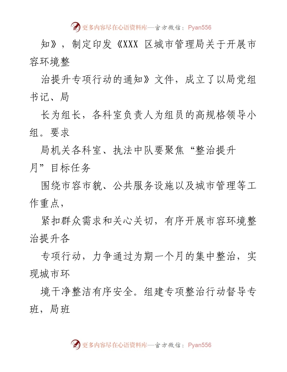 [工作总结] 城市管理局 - 市容环境整治提升专项行动工作总结.docx_第2页