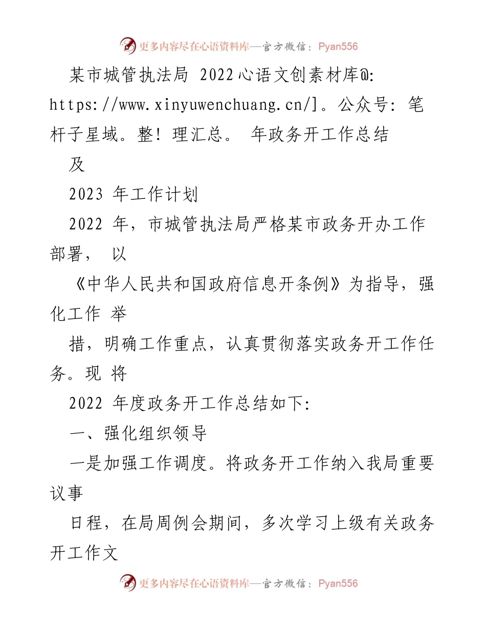[工作总结] 城管执法局 - 2022年政务公开工作总结与2023年计划.docx_第1页