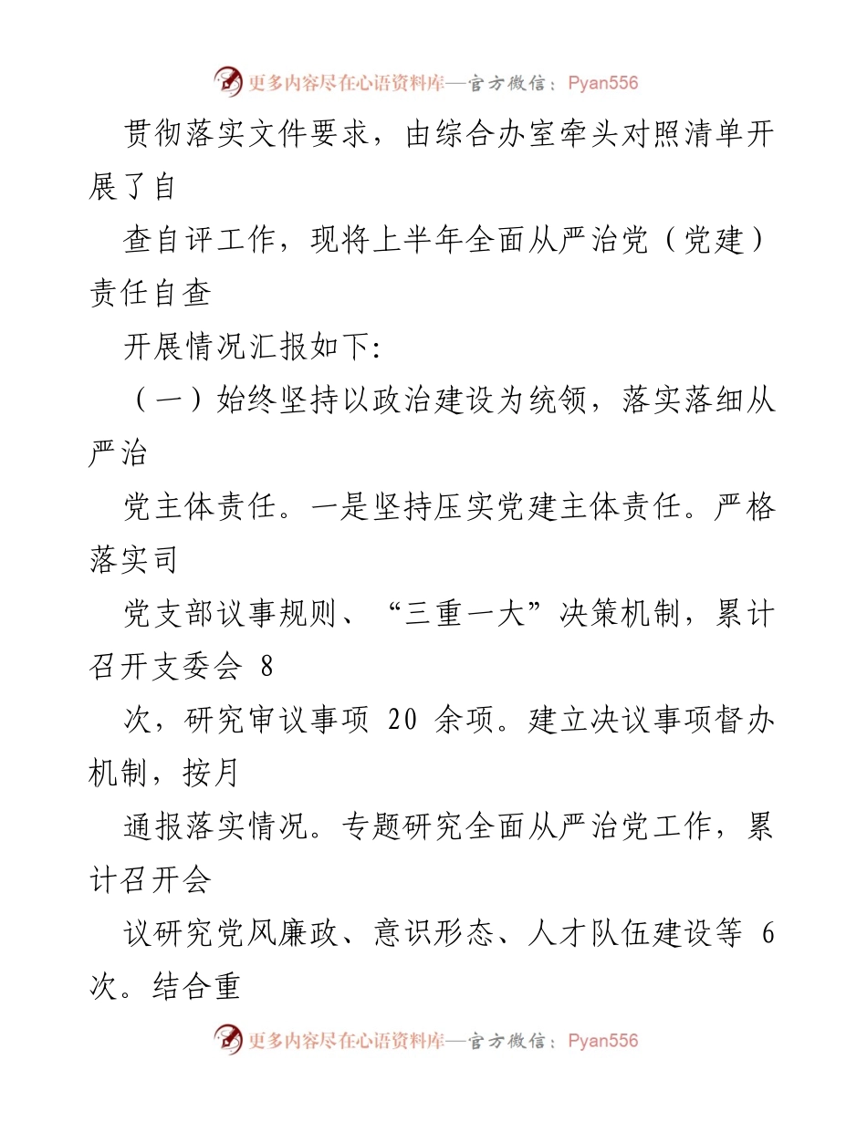 [工作总结] 国企党支部 - 2023年全面从严治党责任年中自查报告.docx_第2页