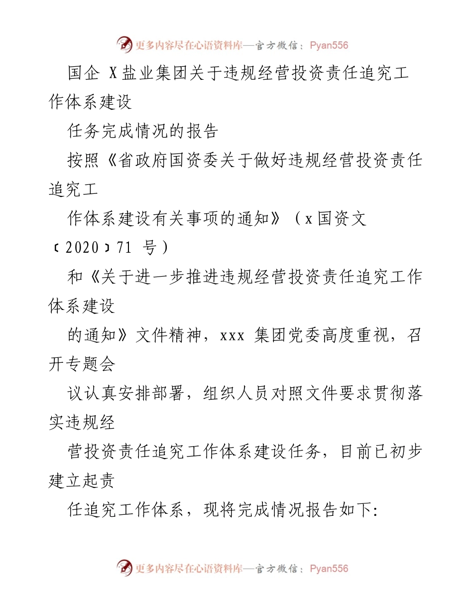 [工作总结] 国企责任追究 - 国企X盐业集团违规经营投资责任追究工作体系建设任务完成情况报告.docx_第1页
