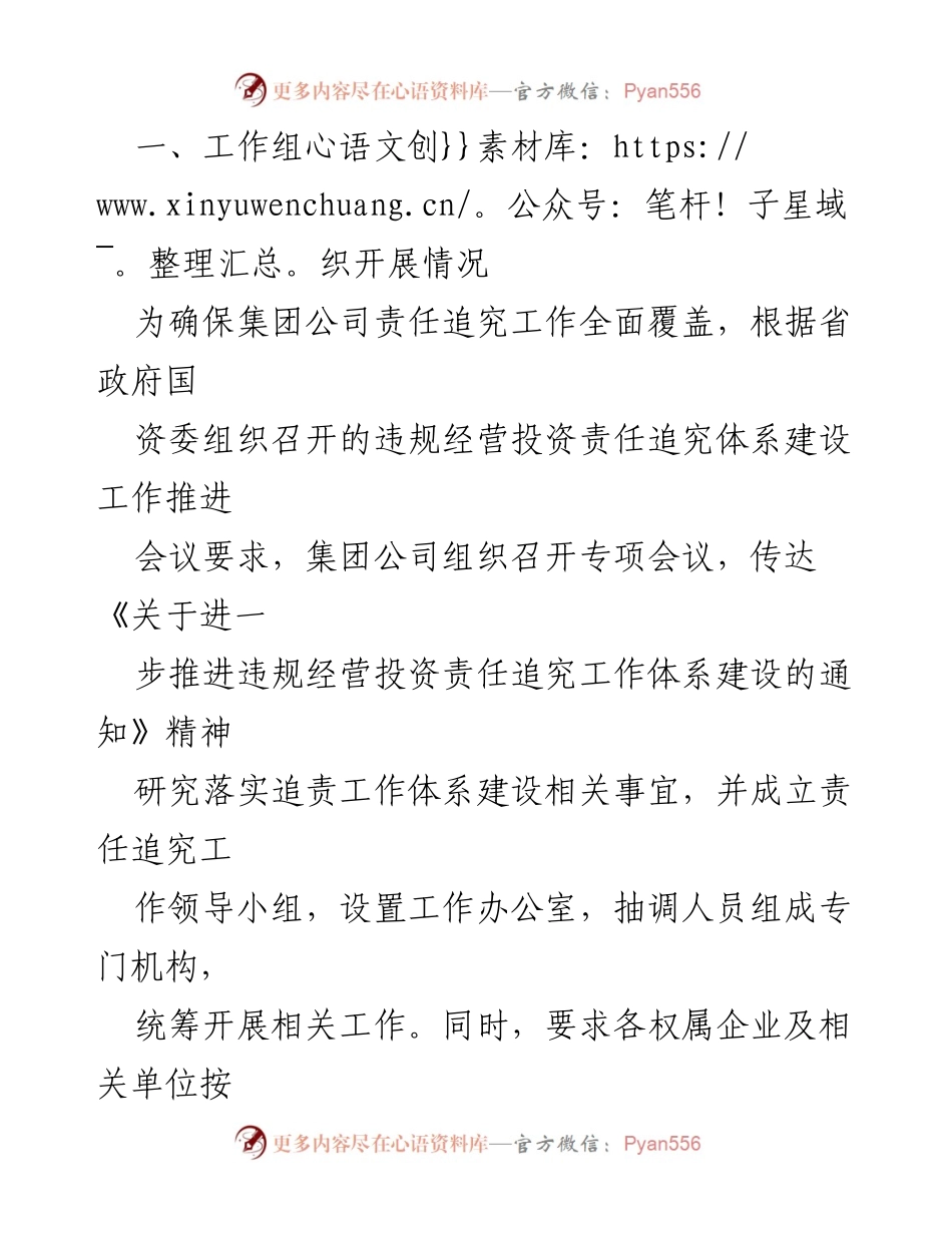 [工作总结] 国企责任追究 - 国企X盐业集团违规经营投资责任追究工作体系建设任务完成情况报告.docx_第2页