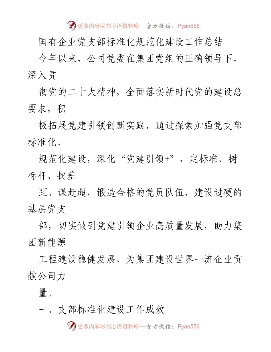 [工作总结] 国有企业党建工作 - 国有企业党支部标准化规范化建设成效与经验总结.docx_第1页
