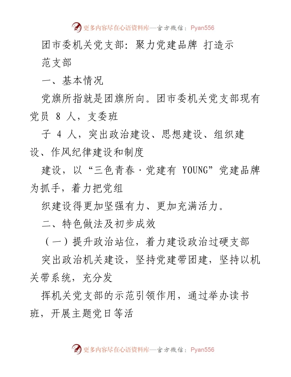 [工作总结] 团市委机关党支部 - 打造“青春·党建有 YOUNG”示范支部的实践与成效.docx_第1页