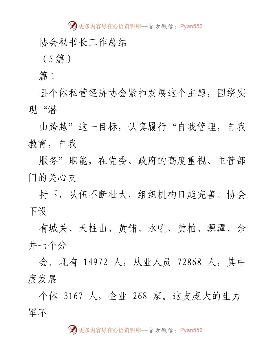 [工作总结] 县个体私营经济协会 - 秘书长年度工作总结与成就回顾.docx_第1页