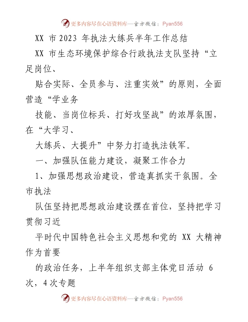 [工作总结] 半年工作总结 - XX市2023年执法大练兵工作总结.docx_第1页