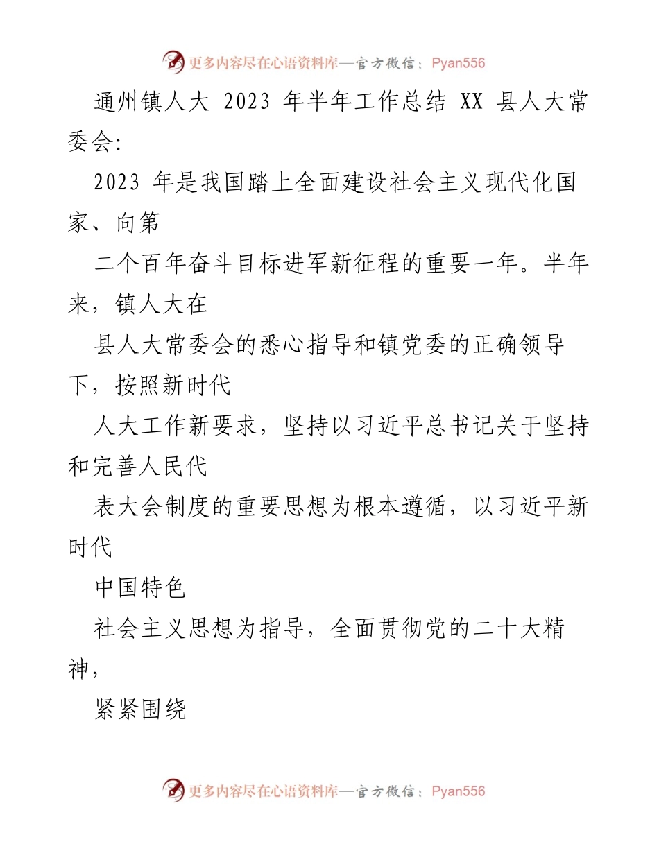 [工作总结] 半年工作总结 - 通州镇人大2023年上半年工作总结报告.docx_第1页