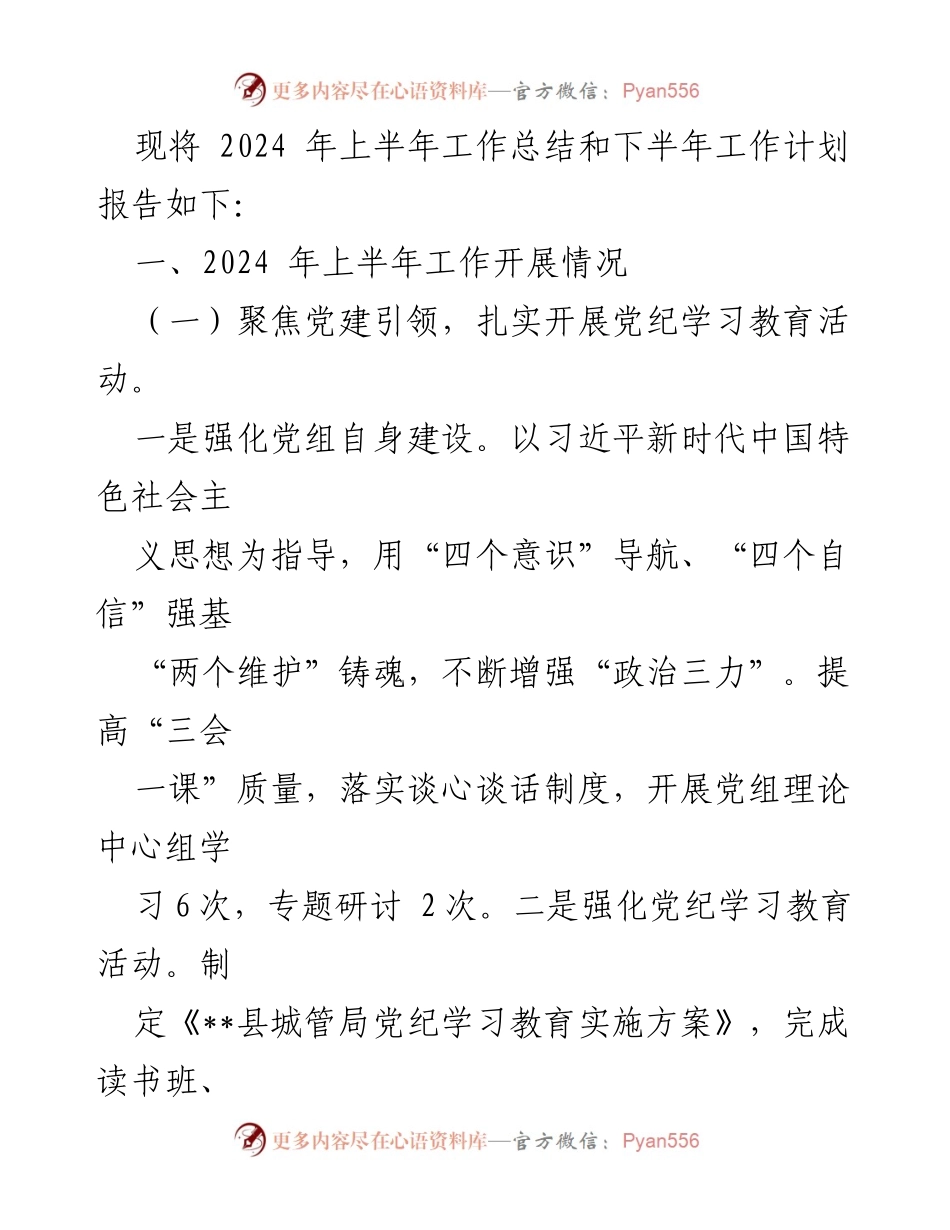 [工作总结] 城市管理局 - 2024年上半年工作总结及下半年计划.docx_第2页