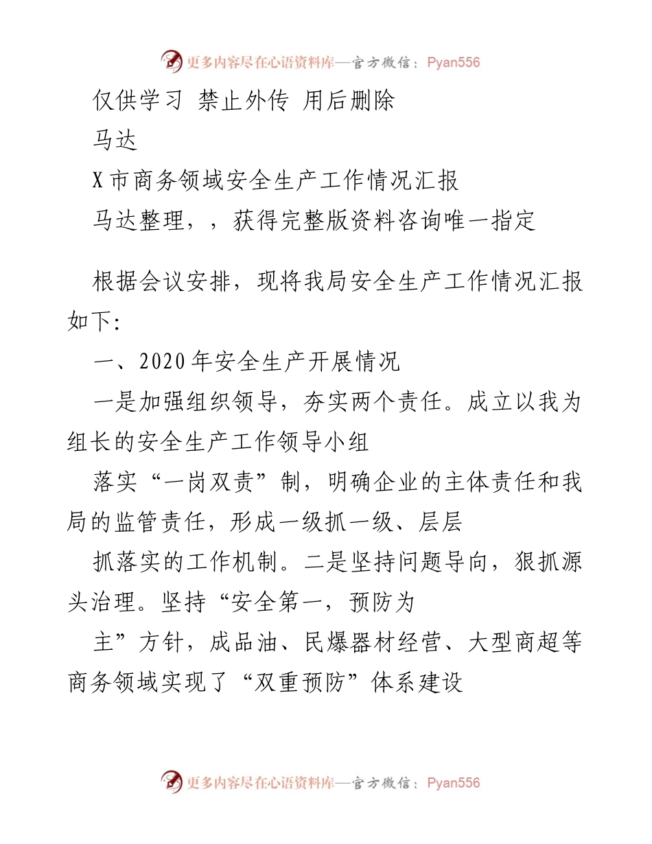 [工作总结] 商务领域安全生产会议 - X市商务领域安全生产工作情况汇报.docx_第1页