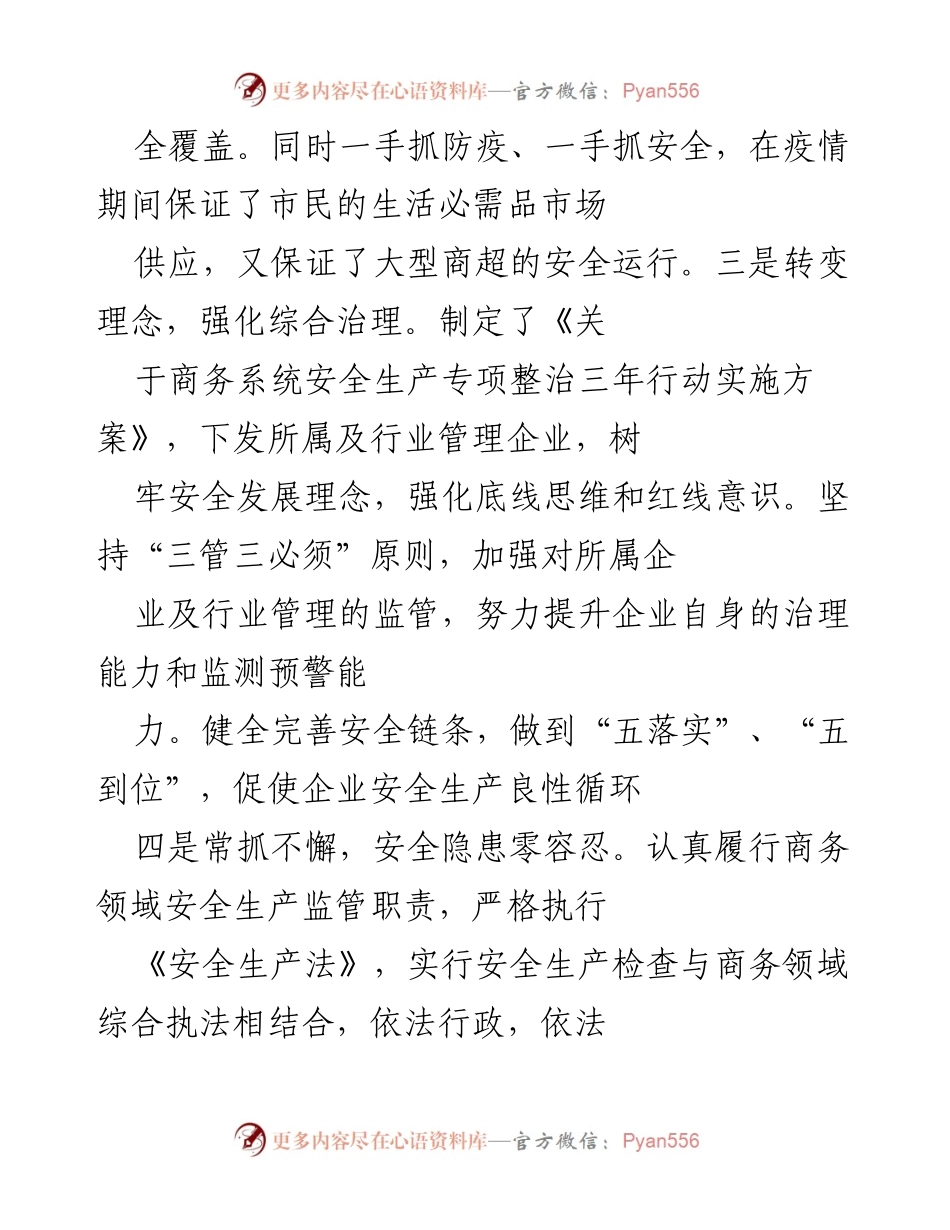 [工作总结] 商务领域安全生产会议 - X市商务领域安全生产工作情况汇报.docx_第2页