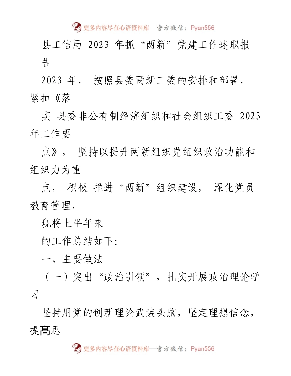 [工作总结] 县工信局 - 2023年“两新”党建工作述职报告.docx_第1页