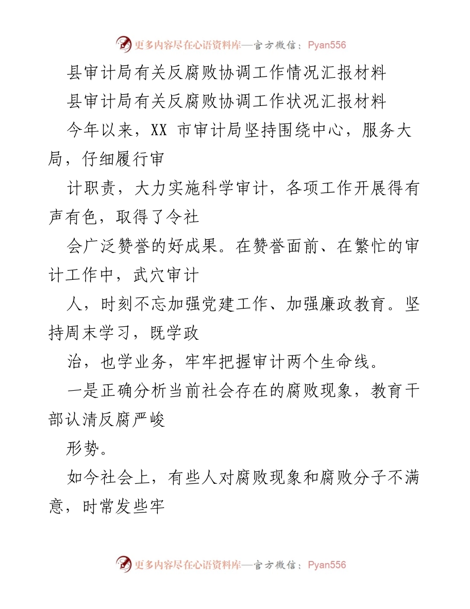 [工作总结] 反腐败协调工作 - 县审计局反腐败协调工作情况汇报.docx_第1页