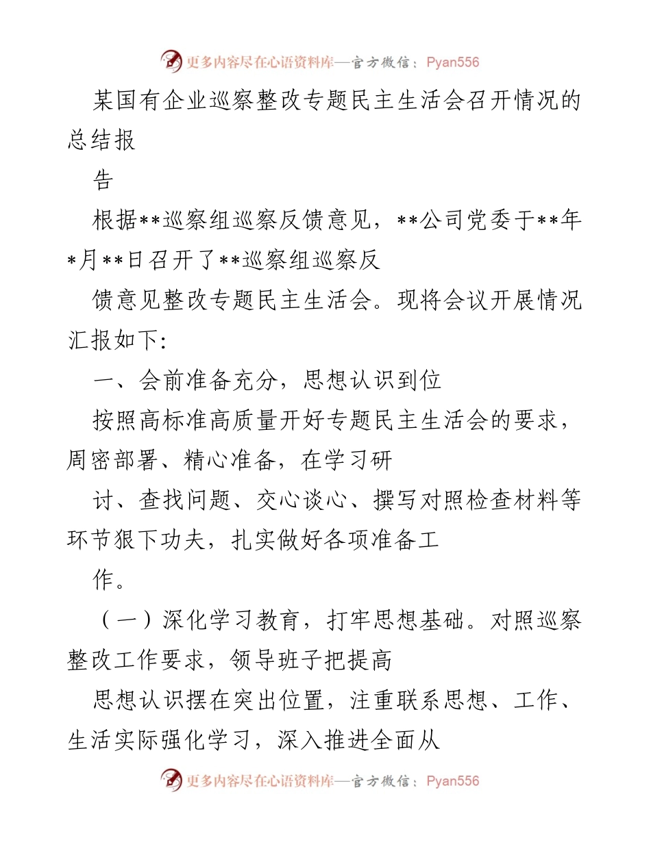 [工作总结] 国有企业巡察整改 - 某国有企业巡察整改专题民主生活会召开情况总结报告.docx_第1页