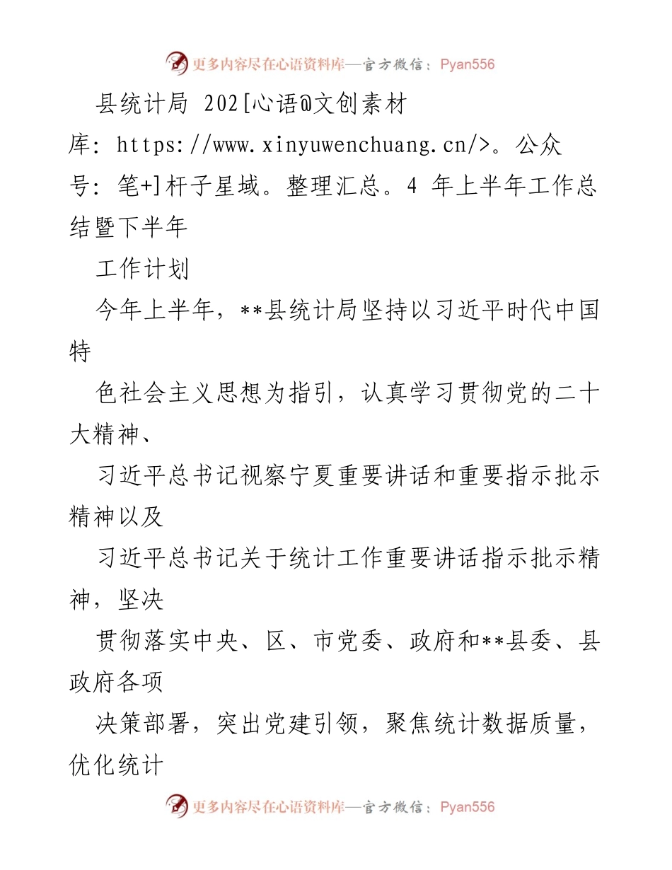 [工作总结] 县统计局 - 2024年上半年工作总结暨下半年工作计划.docx_第1页