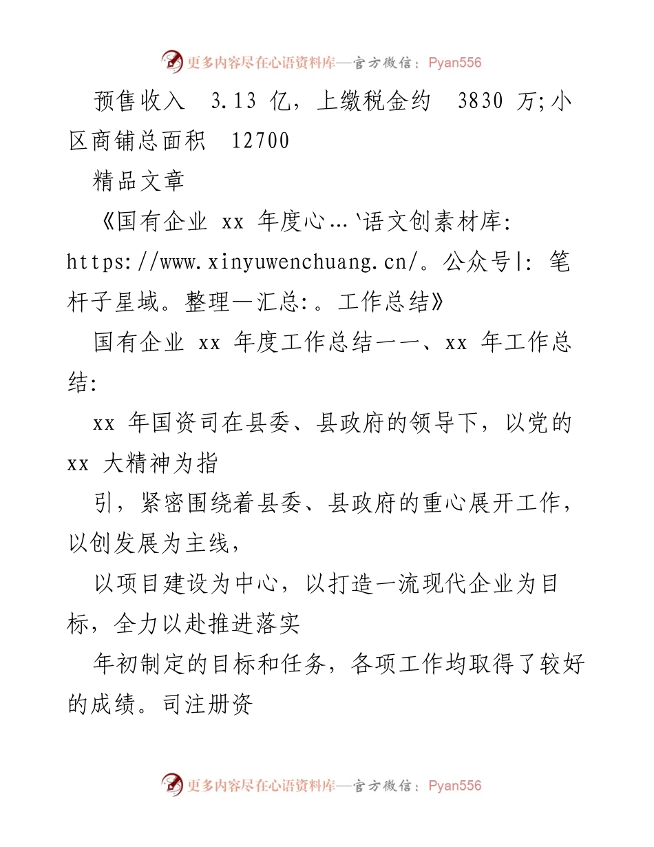 [工作总结] 国有企业年度总结 - 国有企业年度工作总结与融资项目进展.docx_第1页