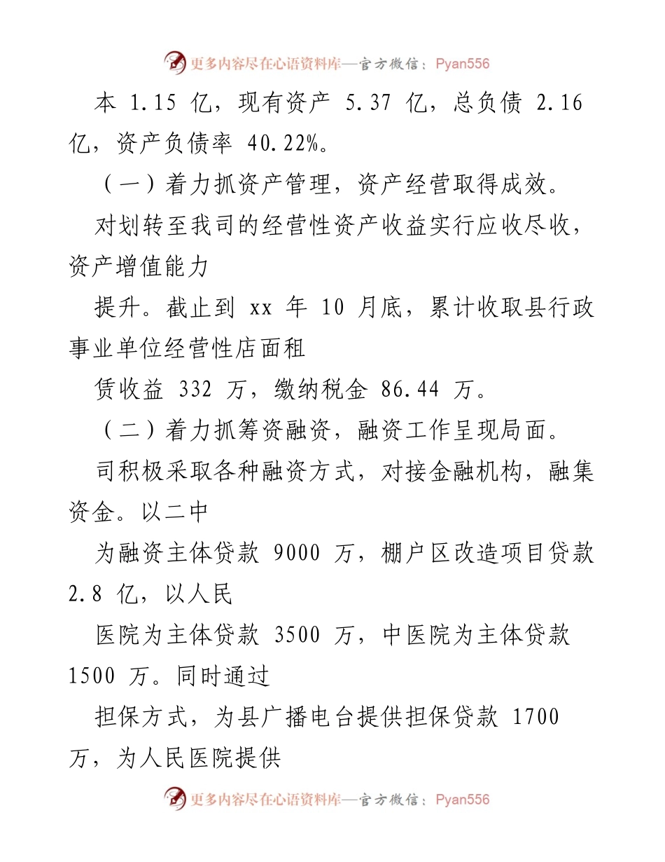 [工作总结] 国有企业年度总结 - 国有企业年度工作总结与融资项目进展.docx_第2页
