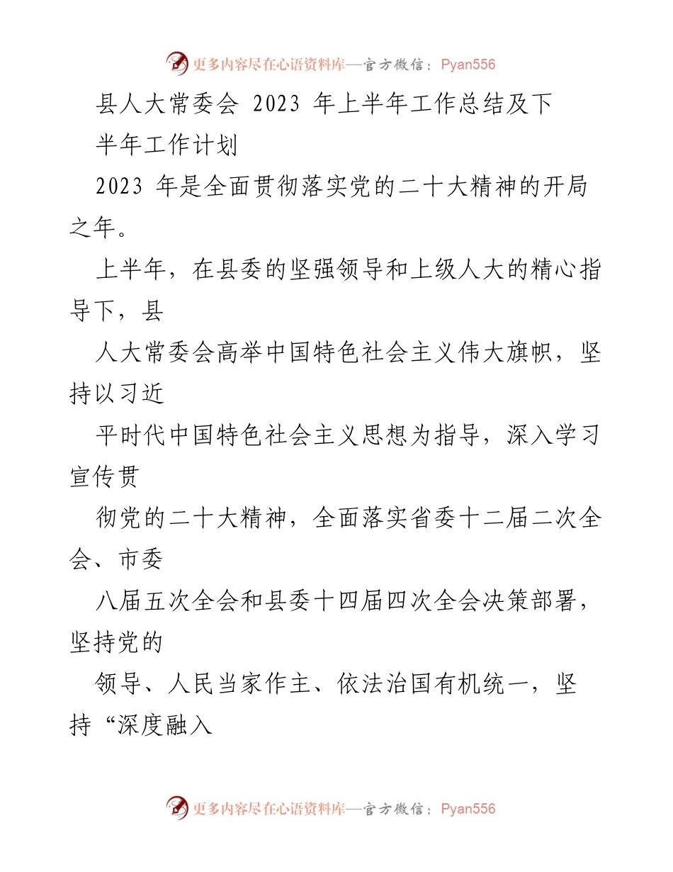 [工作总结] 县人大常委会 - 2023年上半年工作总结及下半年工作计划.docx_第1页