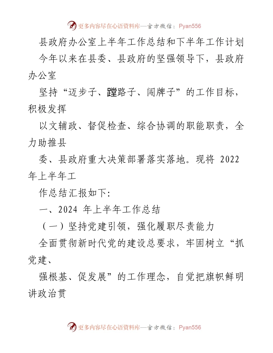 [工作总结] 县政府办公室 - 2024年上半年工作总结与下半年工作计划.docx_第1页
