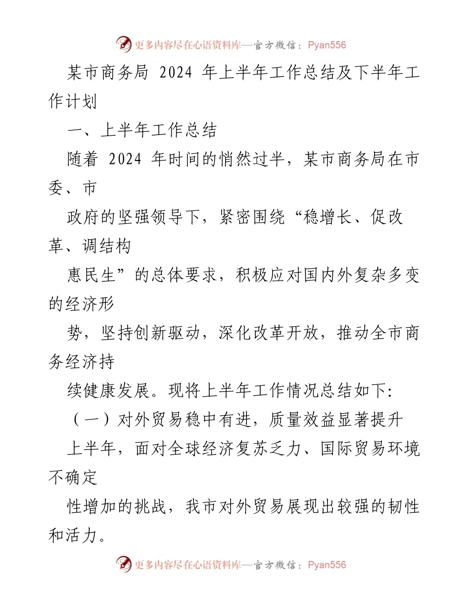[工作总结] 商务局 - 2024年上半年工作总结与下半年计划.docx_第1页