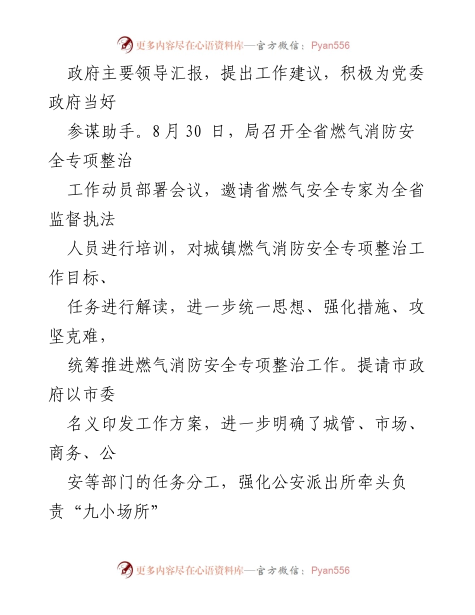 [工作总结] 城镇燃气消防安全专项整治 - 城镇燃气消防安全专项整治工作总结.docx_第2页
