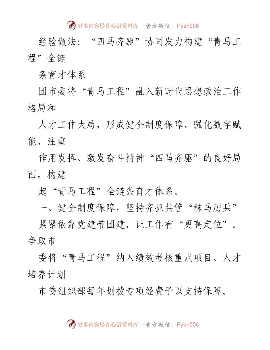 [工作总结] 团市委 - “四马齐驱”协同发力构建“青马工程”全链条育才体系总结.docx_第1页