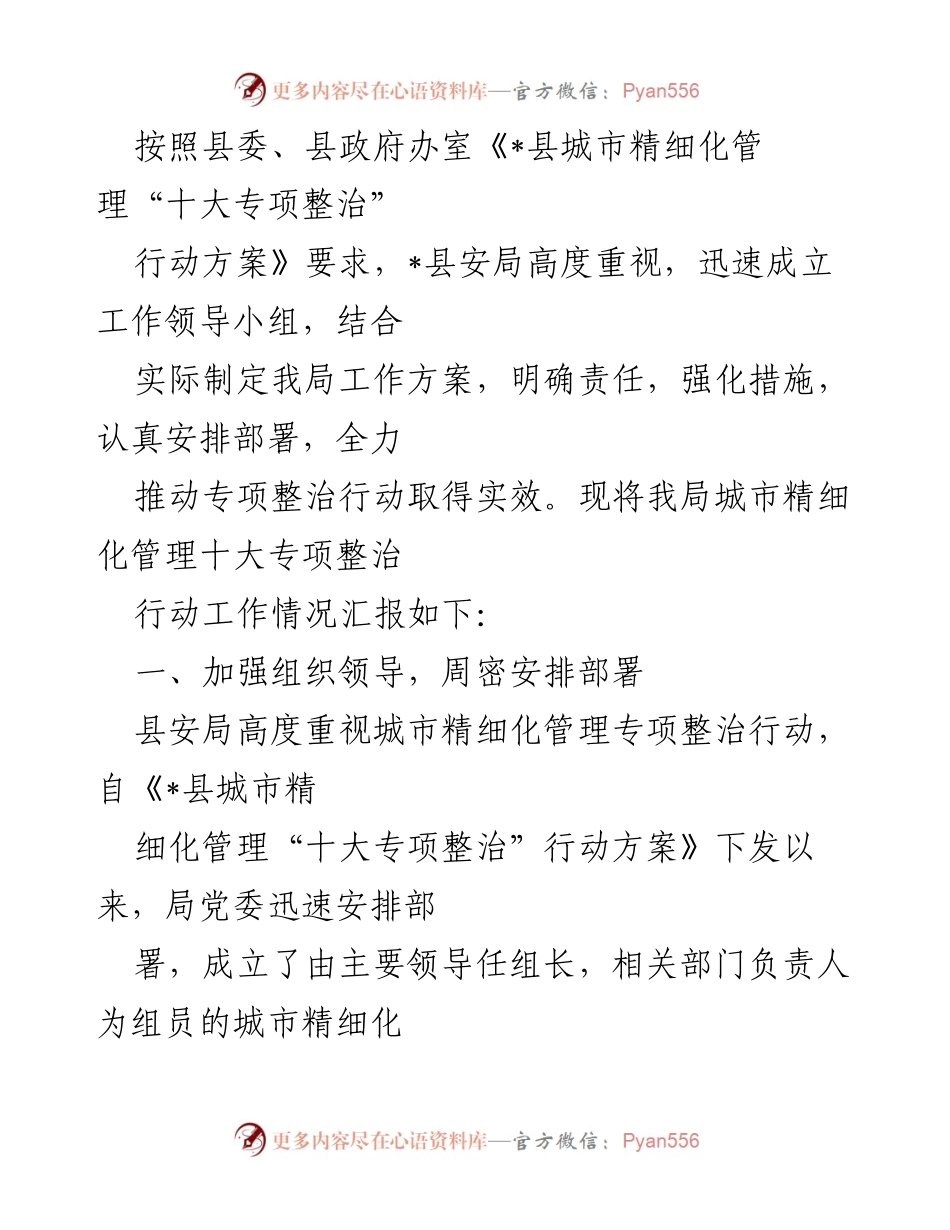[工作总结] 城市管理 - _县城市精细化管理专项整治行动工作情况汇报.docx_第1页