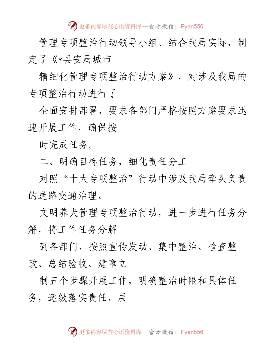[工作总结] 城市管理 - _县城市精细化管理专项整治行动工作情况汇报.docx_第2页