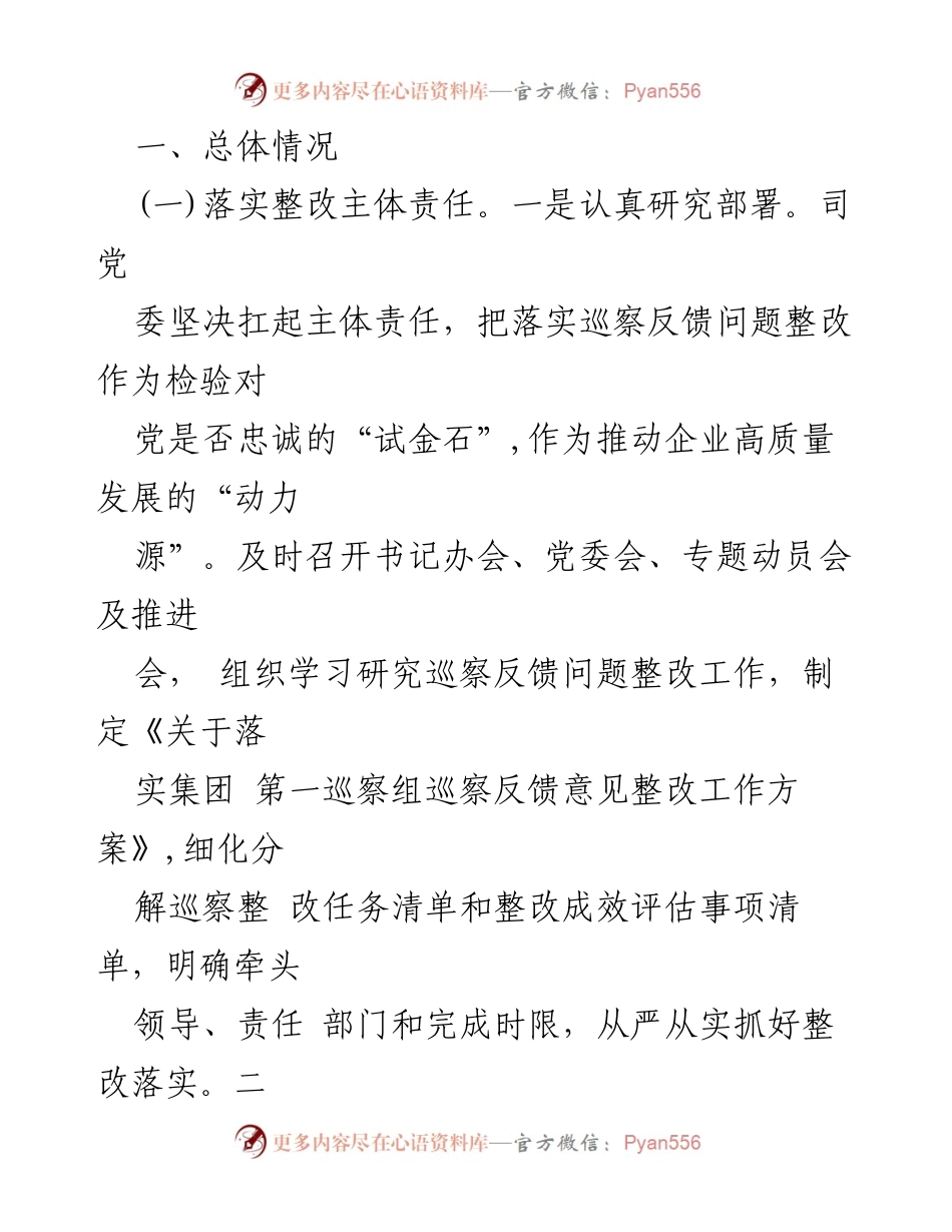 [工作总结] 国有企业巡察整改 - 2024年国有企业巡察整改工作情况总结.docx_第2页