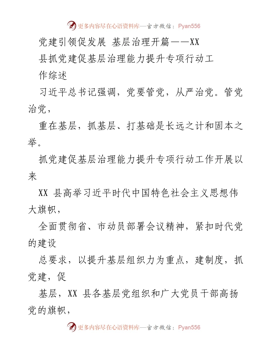 [工作总结] 基层治理 - 党建引领基层治理能力提升专项行动工作综述.docx_第1页