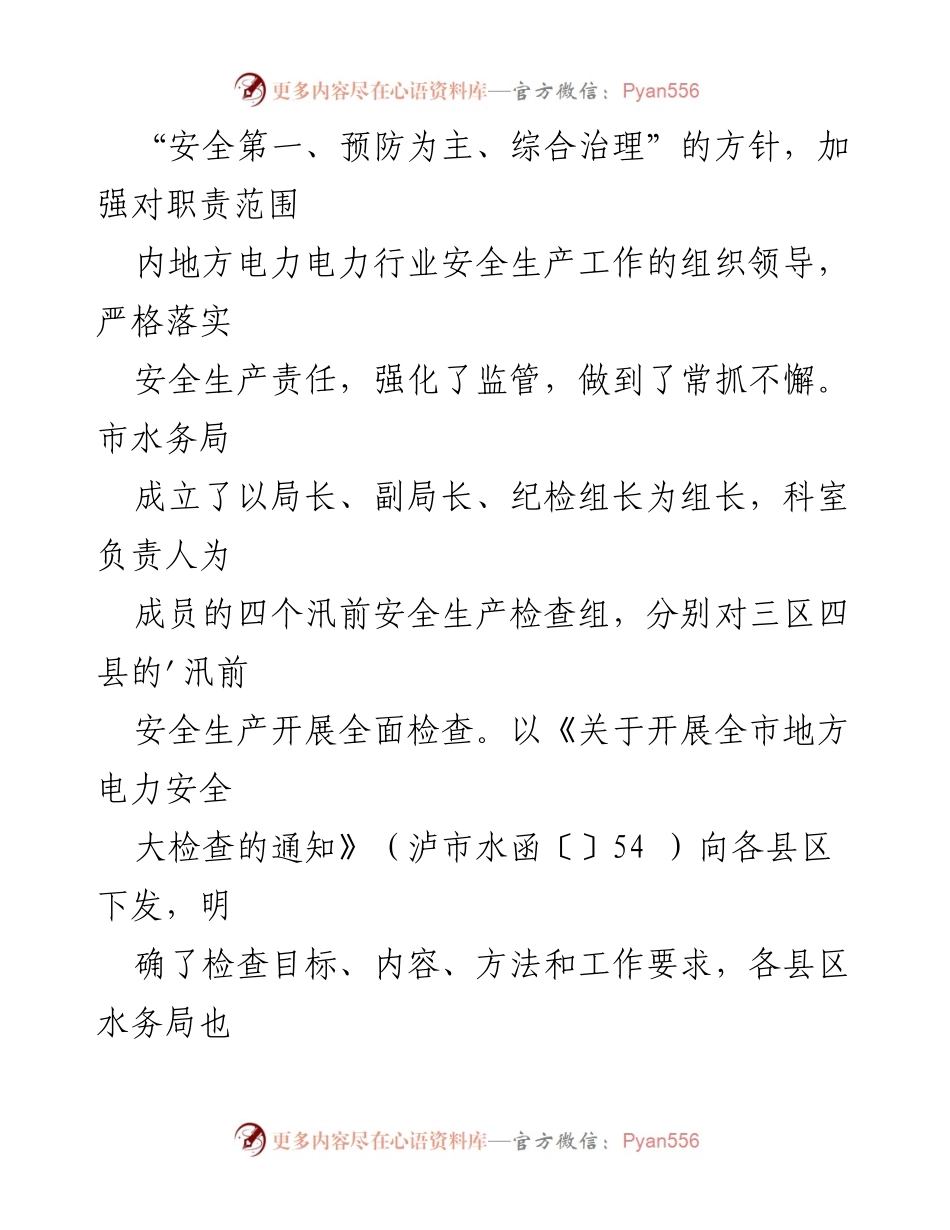 [工作总结] 地方电力安全生产大检查 - 四川省地方电力安全生产大检查情况汇报.docx_第2页