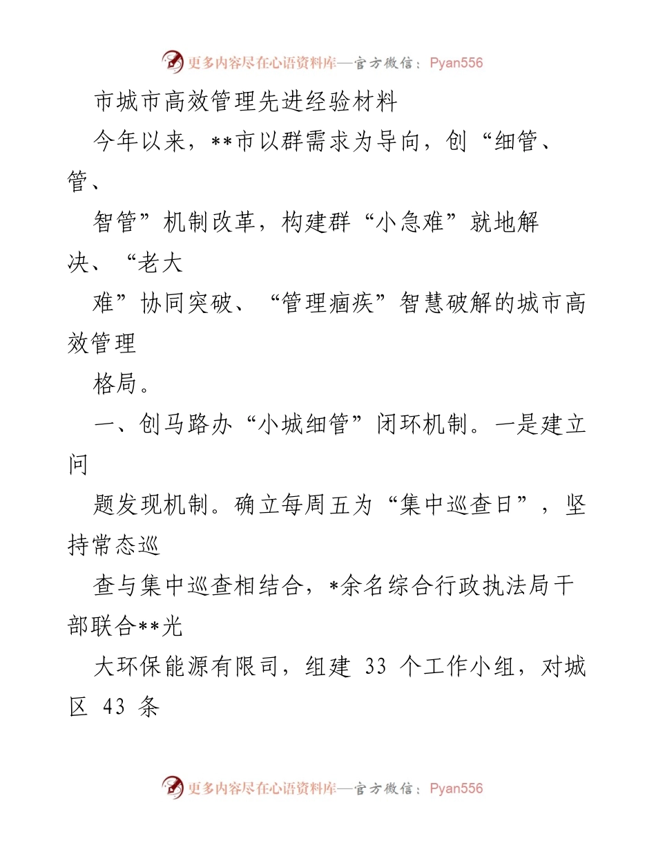 [工作总结] 城市管理 - 市城市高效管理先进经验总结报告.docx_第1页