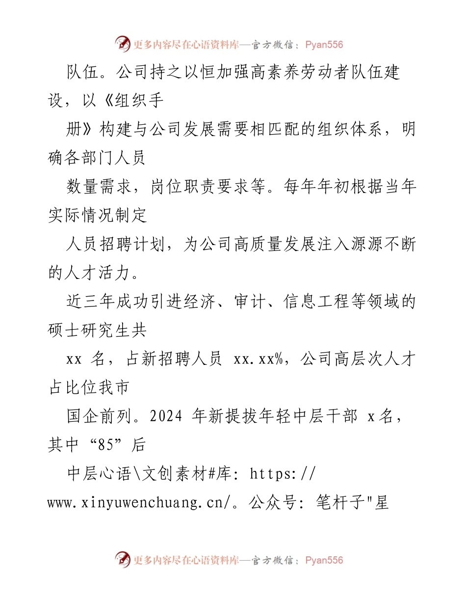[工作总结] 国有企业人才工作 - 2024年国有企业人才工作总结与发展策略.docx_第2页