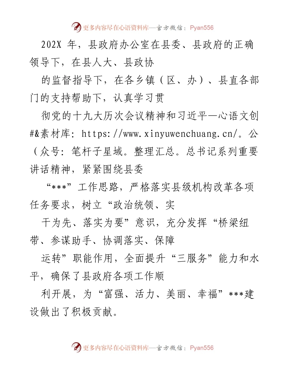 [工作总结] 县政府办公室 - 202X年工作总结与发展成就报告.docx_第1页