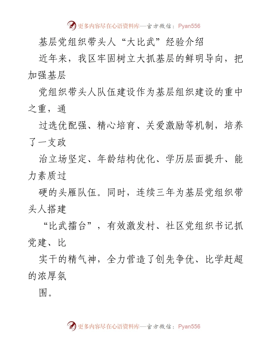 [工作总结] 基层党建 - 基层党组织带头人“大比武”的经验与成效分析.docx_第1页