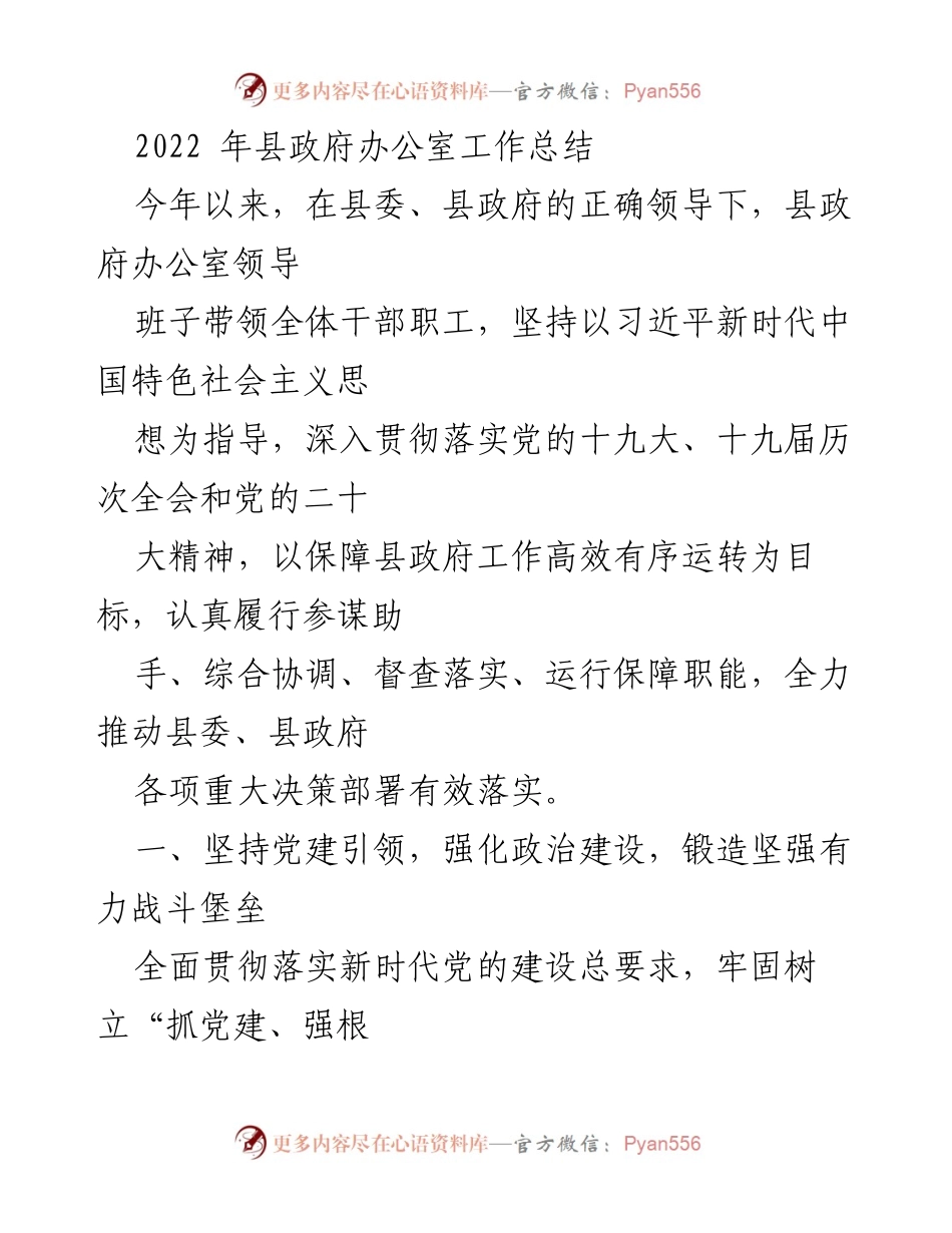 [工作总结] 县政府办公室 - 2022年度工作总结与党建成效分析_1.docx_第1页