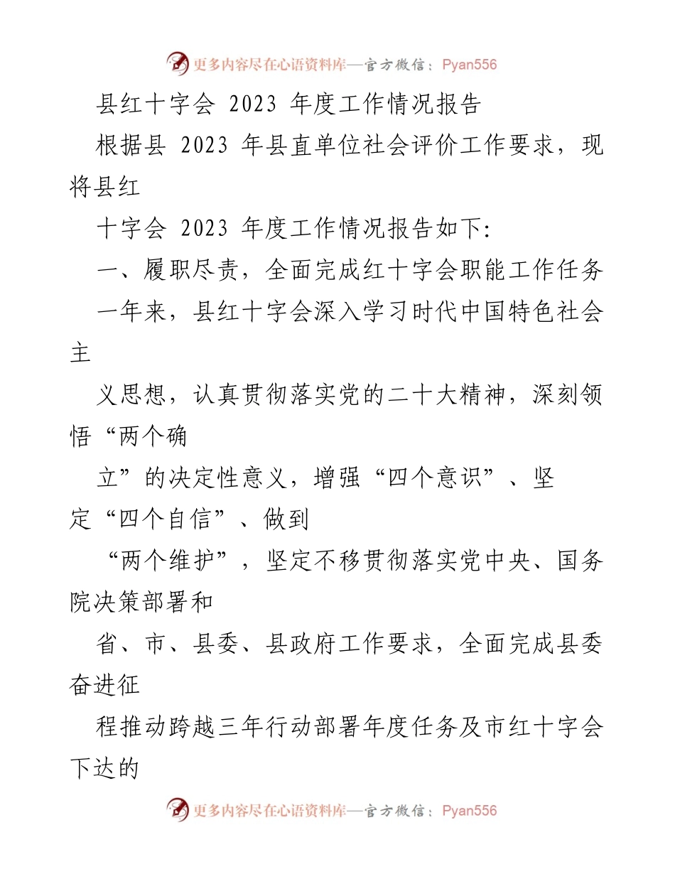 [工作总结] 县红十字会 - 2023年度工作情况报告.docx_第1页