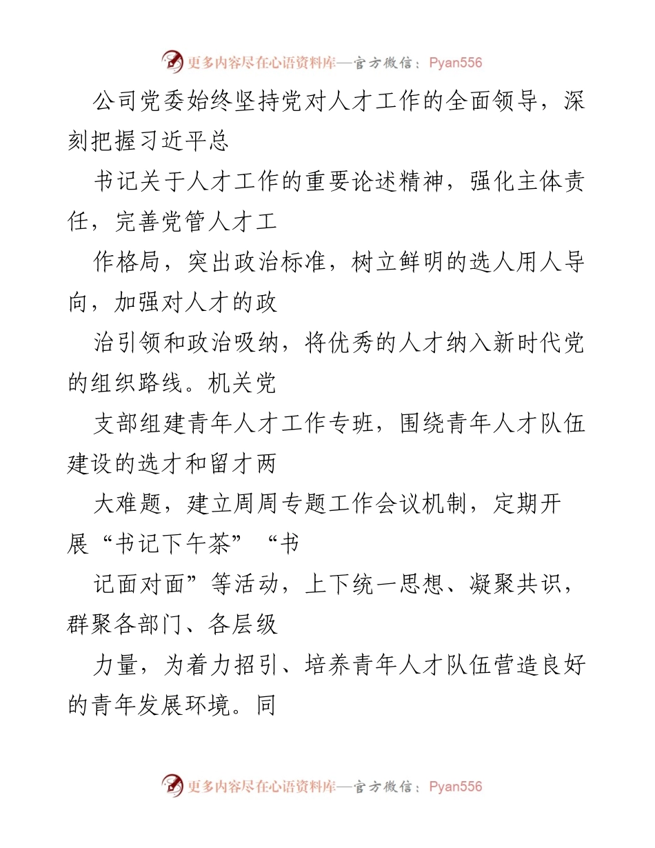 [工作总结] 国企青年人才建设 - 国企青年人才建设经验总结与实践探索.docx_第2页