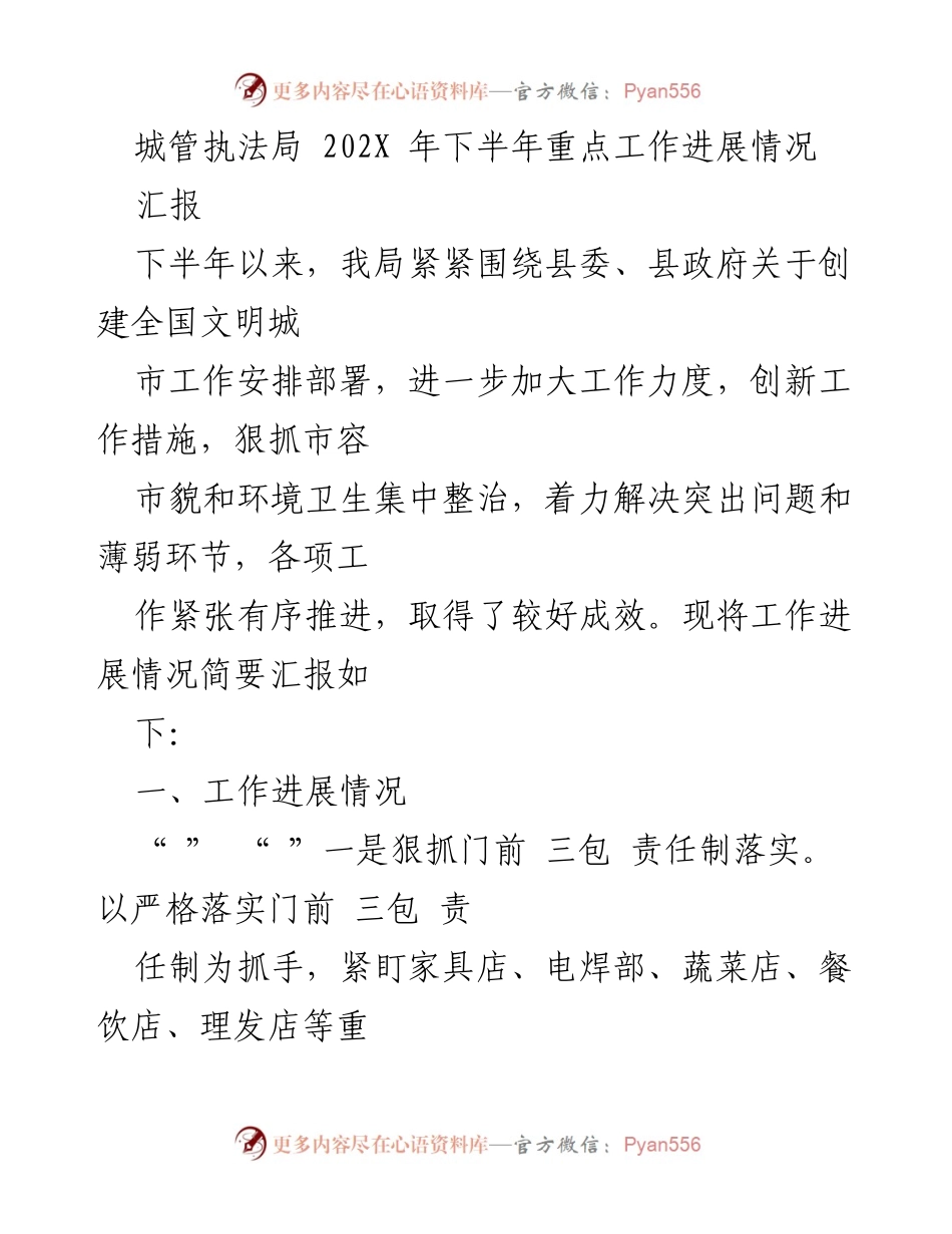 [工作总结] 城管执法局 - 202X年下半年城管执法重点工作进展汇报.docx_第1页