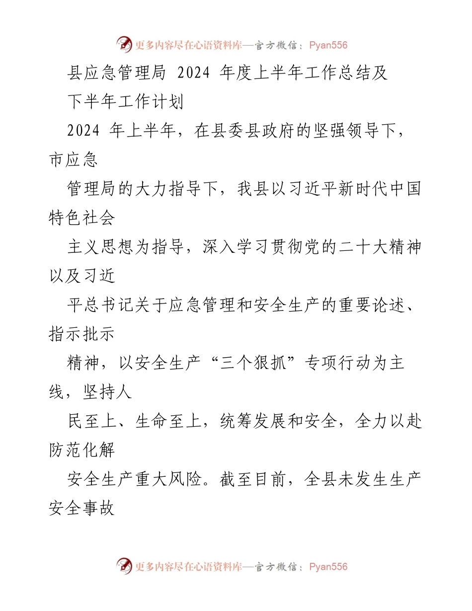 [工作总结] 县应急管理局 - 2024年上半年工作总结及下半年工作计划.docx_第1页