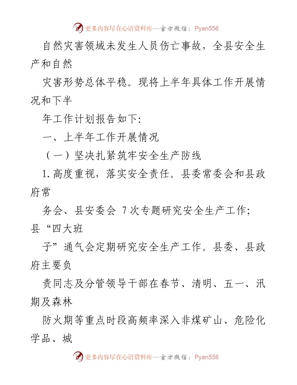 [工作总结] 县应急管理局 - 2024年上半年工作总结及下半年工作计划.docx_第2页