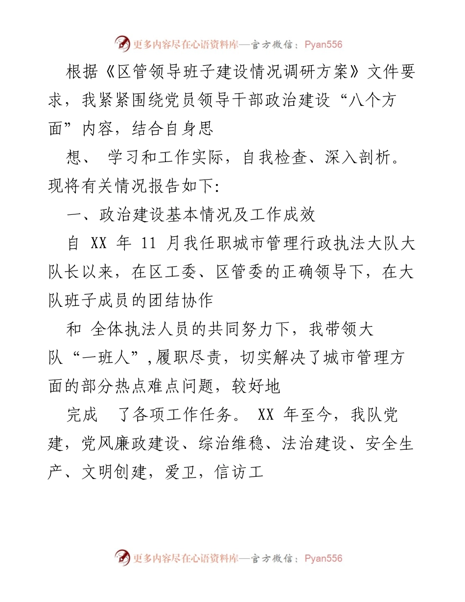 [工作总结] 城市管理执法大队 - 党员领导干部政治建设自我检查与工作成效报告.docx_第1页