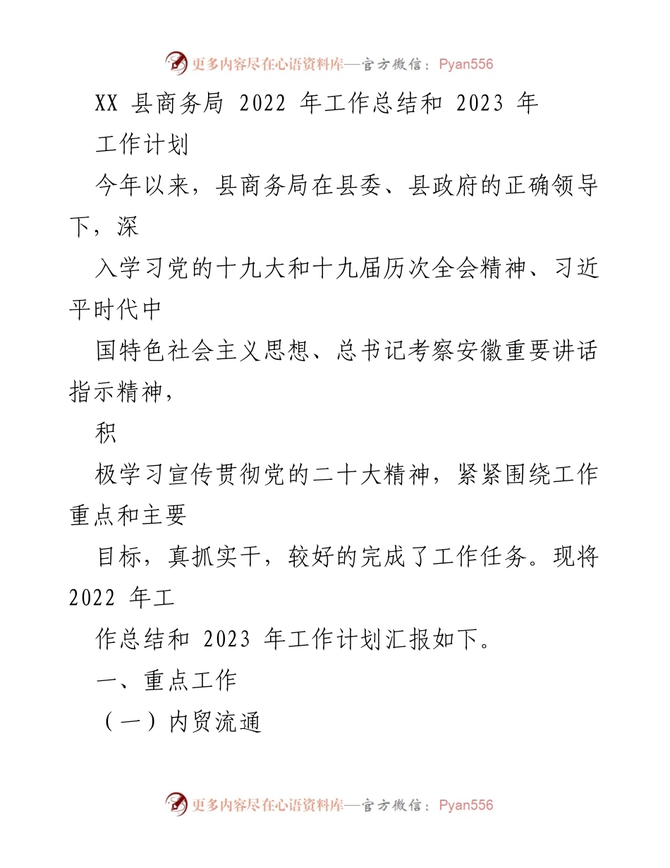 [工作总结] 商务局 - 2022年工作总结与2023年工作计划报告.docx_第1页