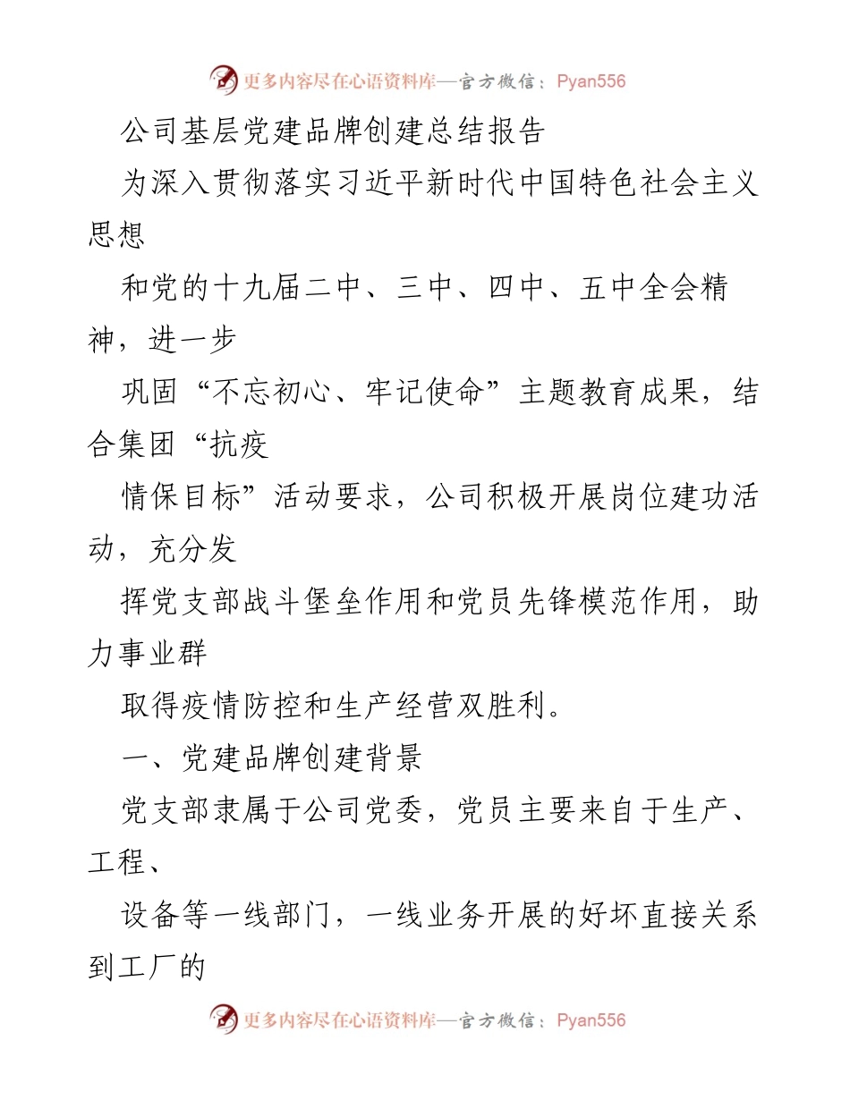 [工作总结] 基层党建 - 公司基层党建品牌创建总结报告.docx_第1页