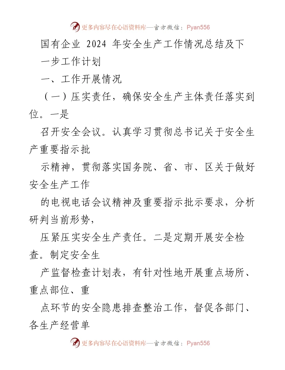 [工作总结] 国有企业安全生产工作 - 2024年安全生产工作总结及下一步计划.docx_第1页