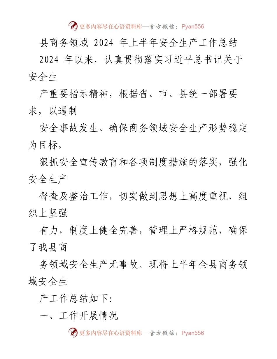 [工作总结] 县商务领域 - 2024年上半年安全生产工作总结.docx_第1页