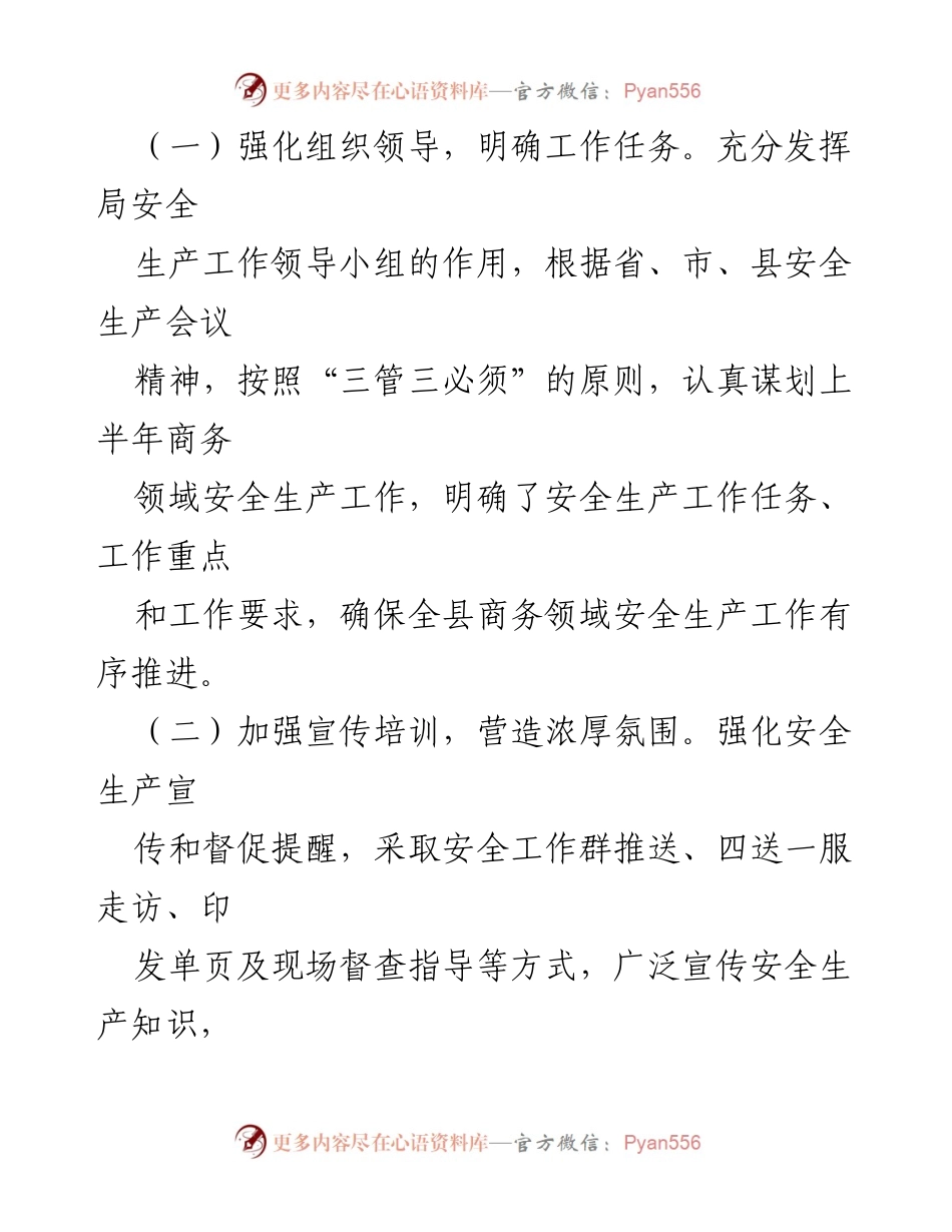 [工作总结] 县商务领域 - 2024年上半年安全生产工作总结.docx_第2页