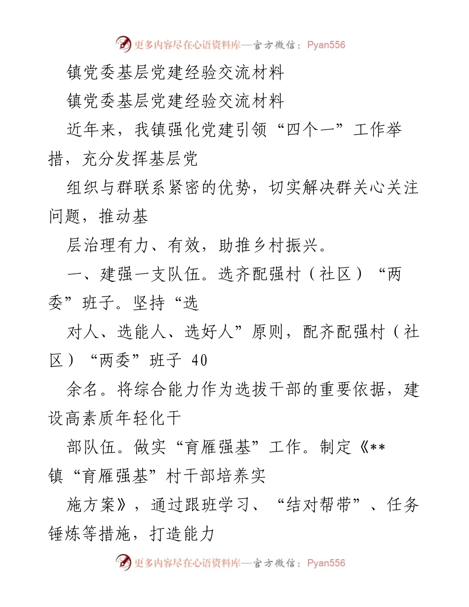 [工作总结] 基层党建经验交流 - 加强党建引领，推动乡村振兴的实践与成效.docx_第1页
