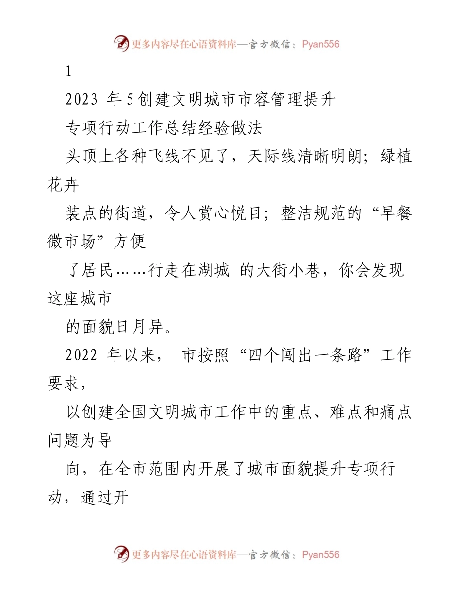 [工作总结] 城市管理 - 2023年城市面貌提升专项行动工作总结与经验分享.docx_第1页