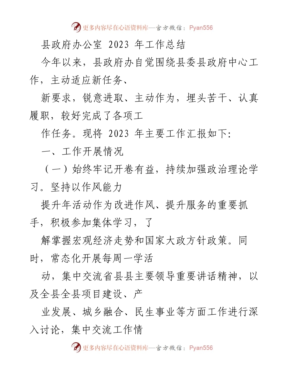 [工作总结] 县政府办公室 - 2023年县政府办公室工作总结报告.docx_第1页