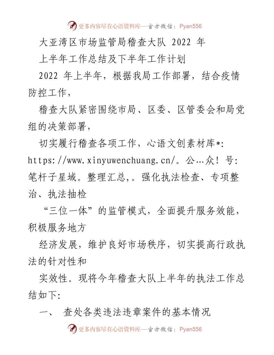 [工作总结] 半年度 - 大亚湾区市场监管局稽查大队2022年上半年工作总结及下半年工作计划.docx_第1页
